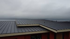 Best Emergency Roof Repair Services  in Floresville, TX